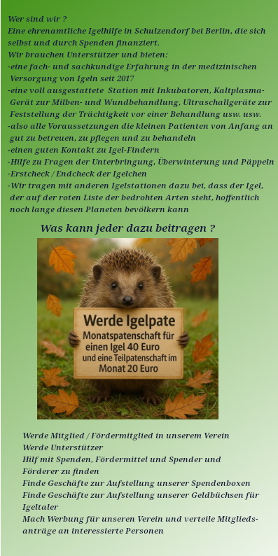 WhatsApp Image 2025 07 29 at 14.38.30