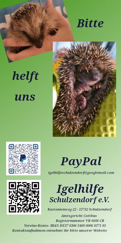 WhatsApp Image 2025 07 29 at 14.38.30 1