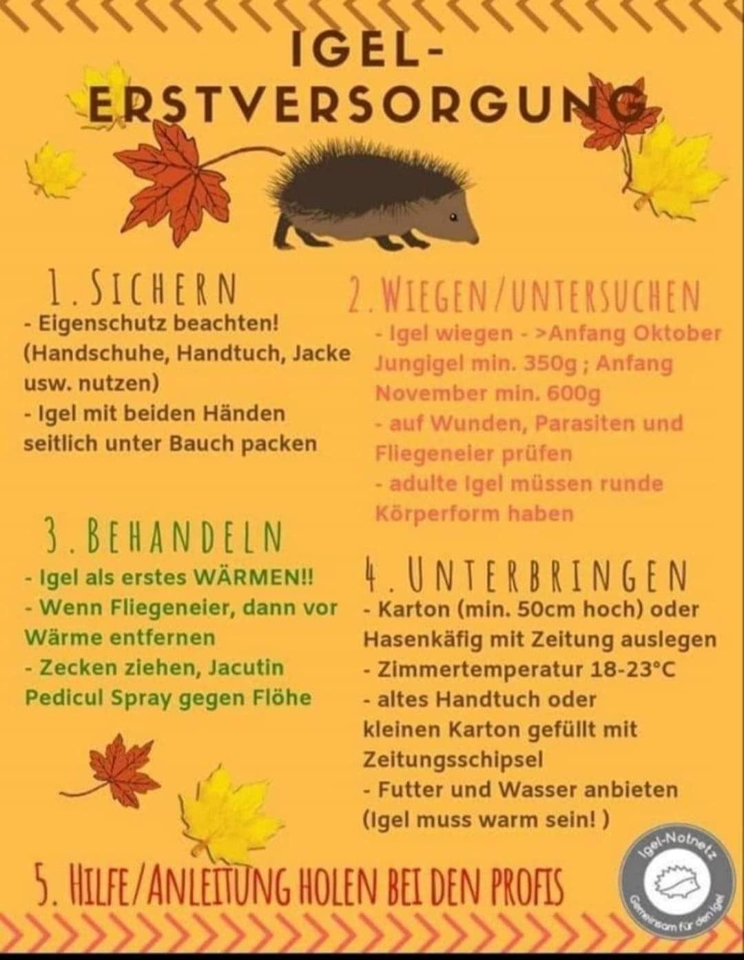 4ffe700c 2650 484a aabd 40f40b78a89d