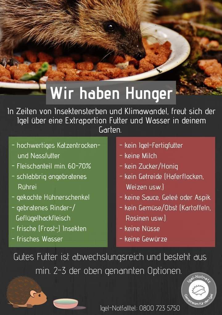 557d9152 e3b7 426b bd07 c5d504baec12