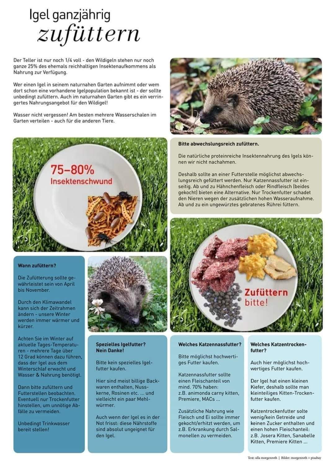 5d253b79 b6f0 4901 95f9 292135291f26