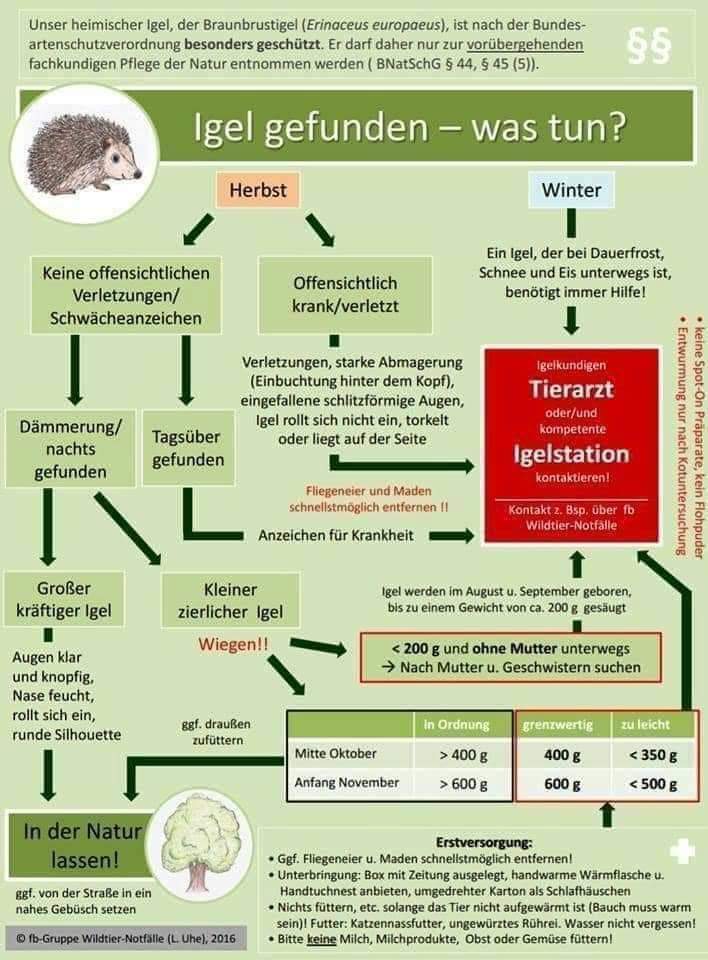 a881bcdb 723c 43aa 941a 2d686a0046d4